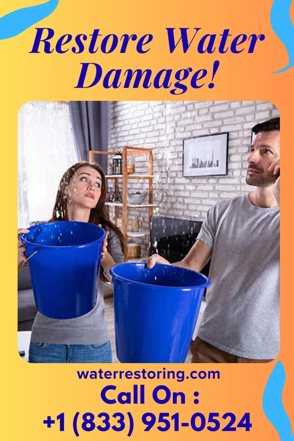 water restoration Platinum Water Restoration Contractors Harrison