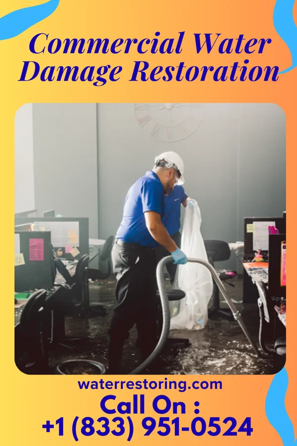 Commercial Water Damage Restoration in Harrison, ID