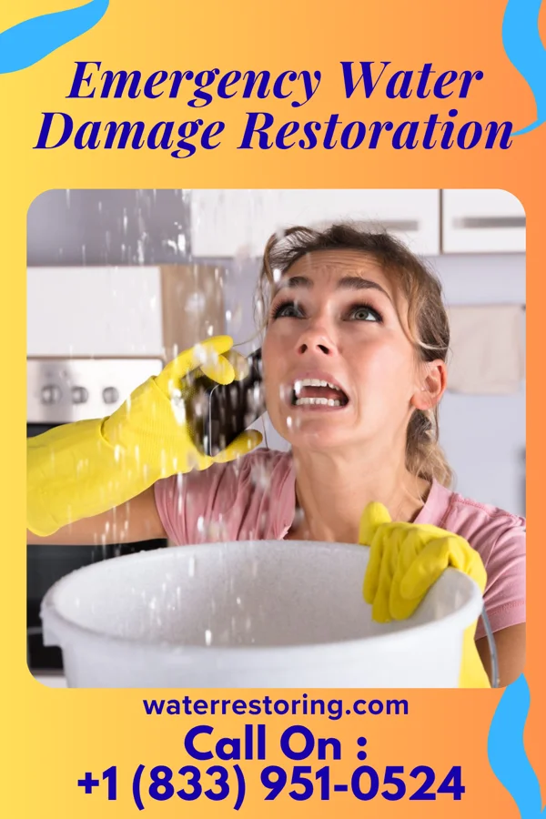 Emergency Water Damage Restoration in Harrison, ID